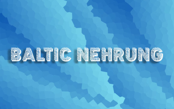 Baltic Nehrung: A Creative Display Typeface for Modern Web Design
